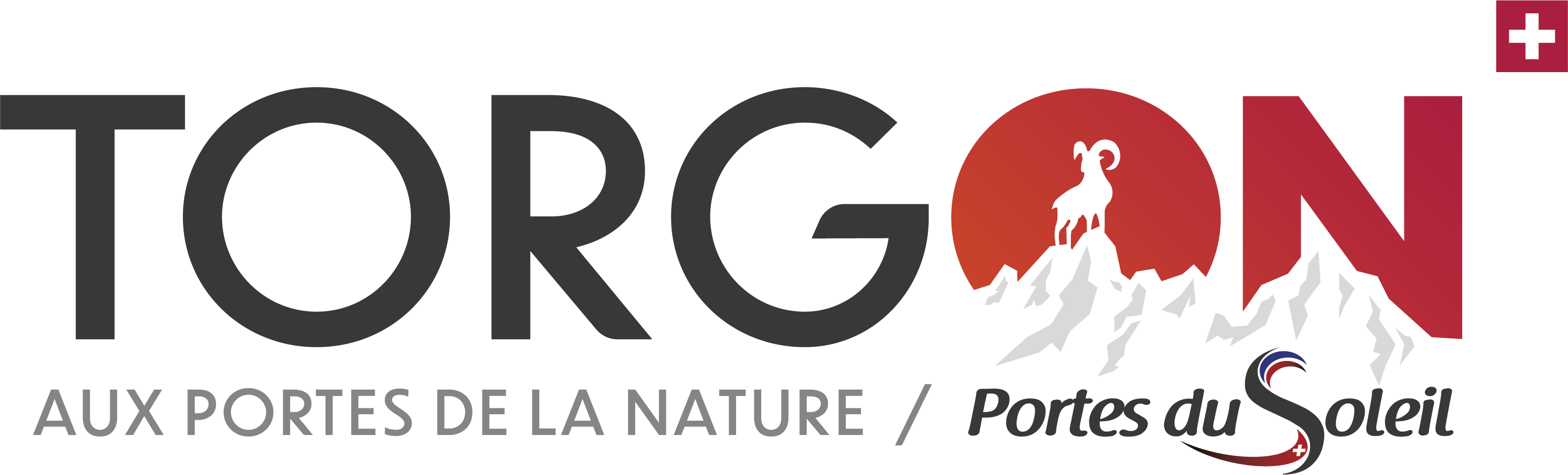 organizer-logo