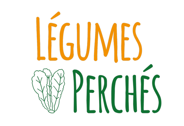 organizer-logo