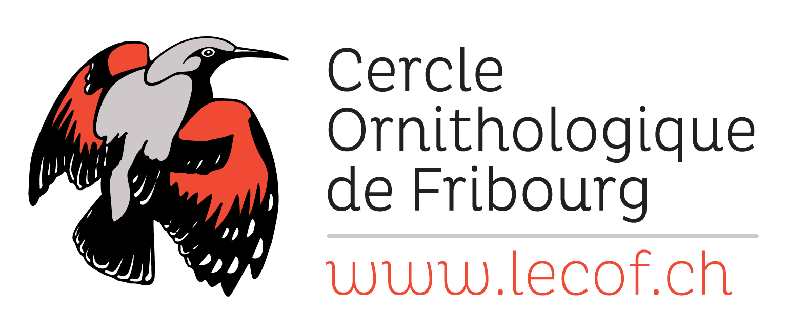 organizer-logo