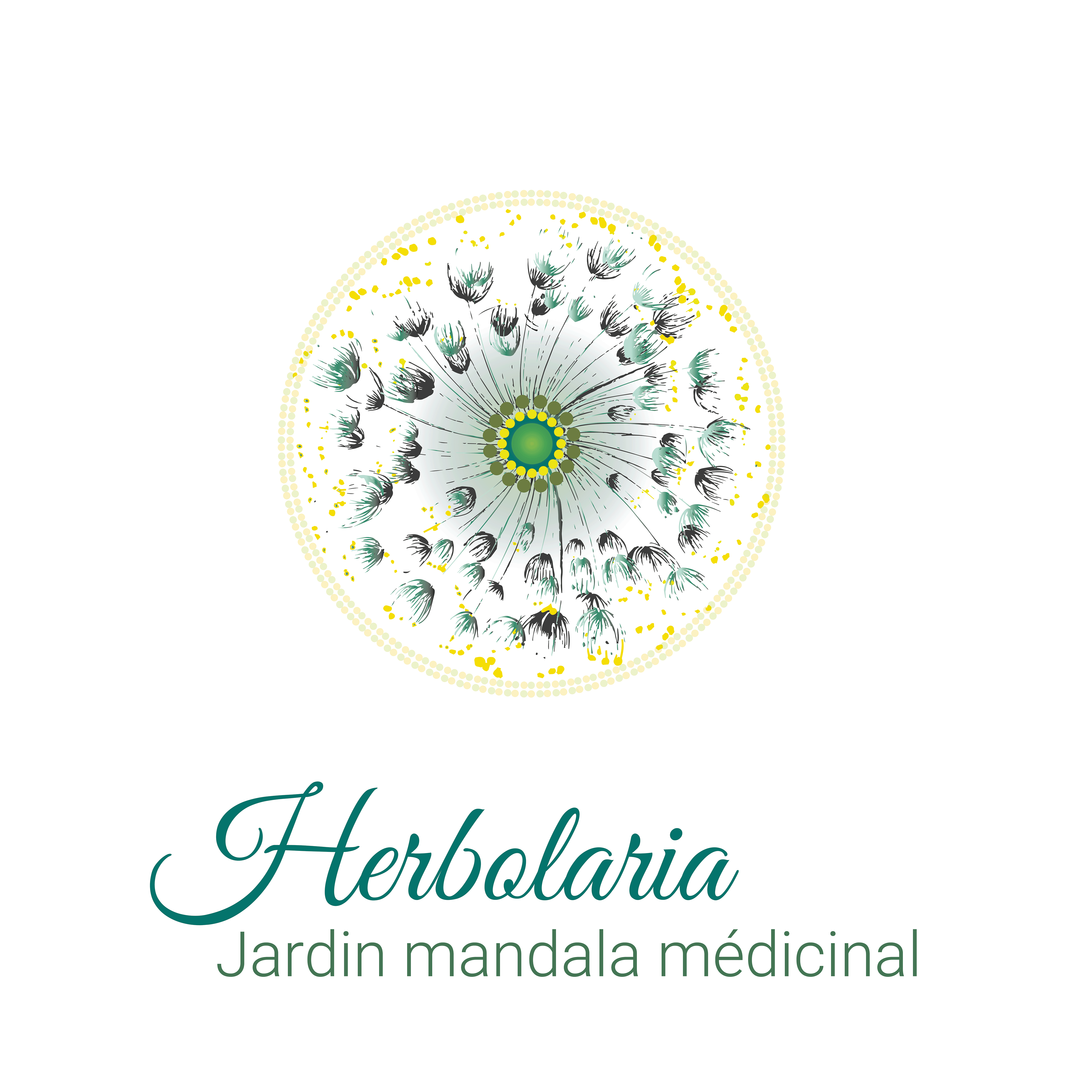 organizer-logo