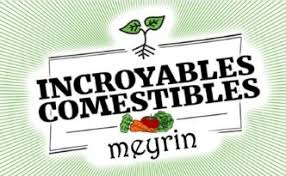 organizer-logo