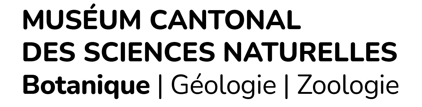 organizer-logo