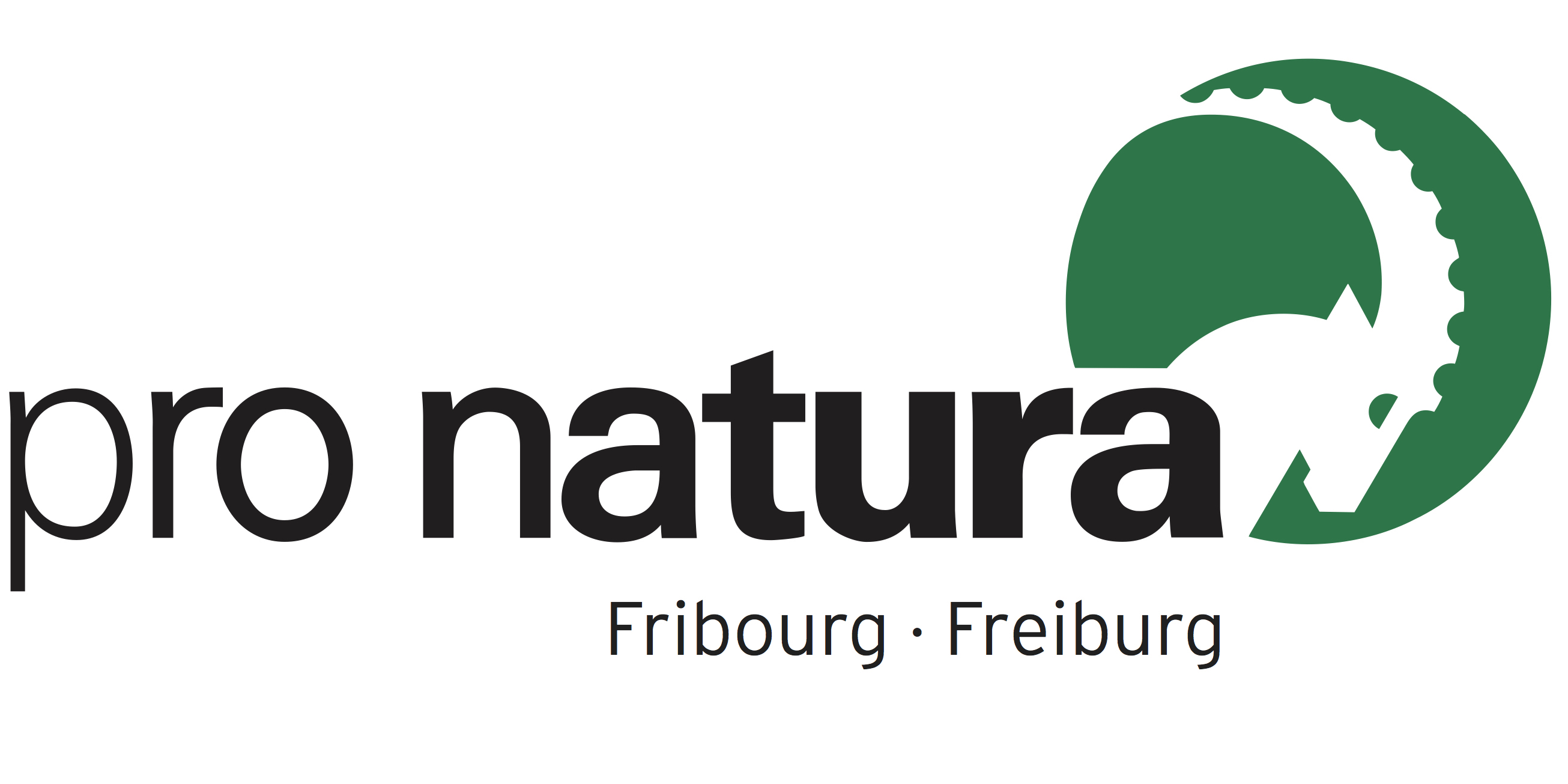 organizer-logo