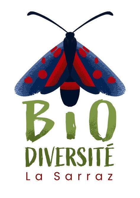 organizer-logo