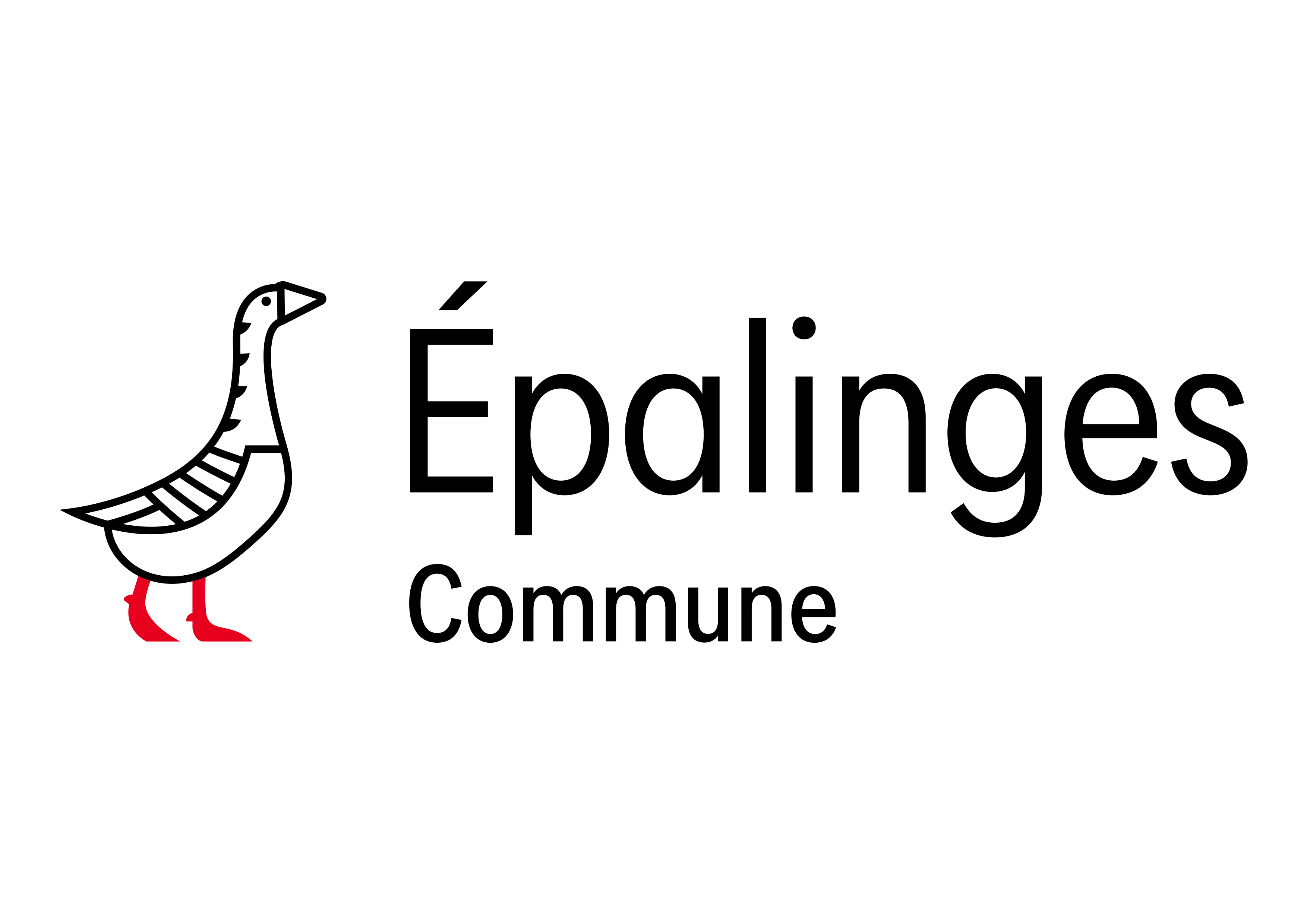 organizer-logo