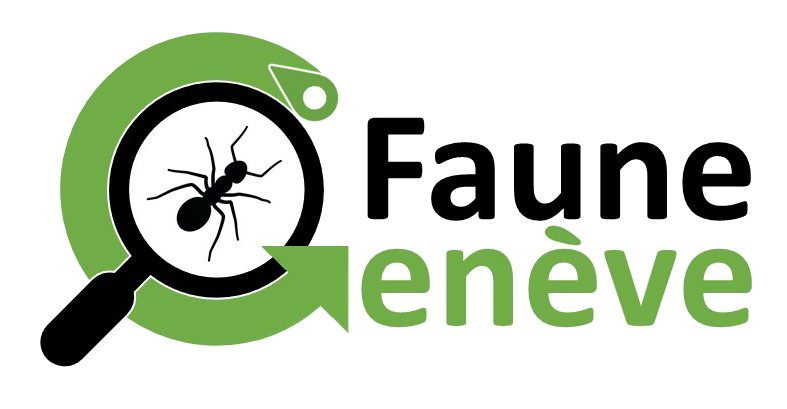 organizer-logo