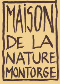 organizer-logo