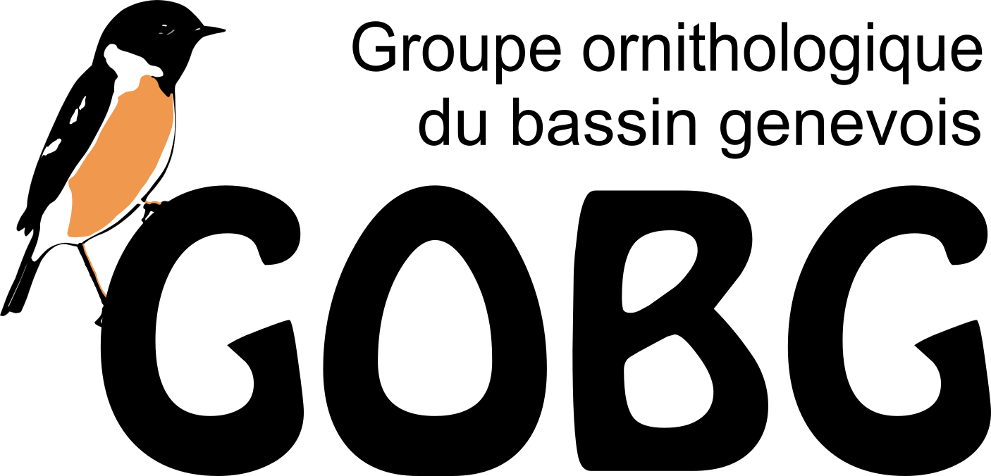 organizer-logo