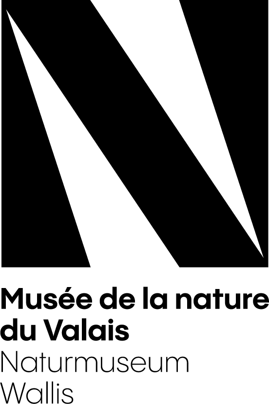 organizer-logo