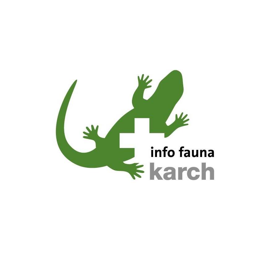 organizer-logo