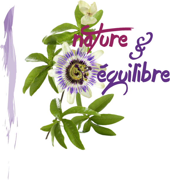organizer-logo