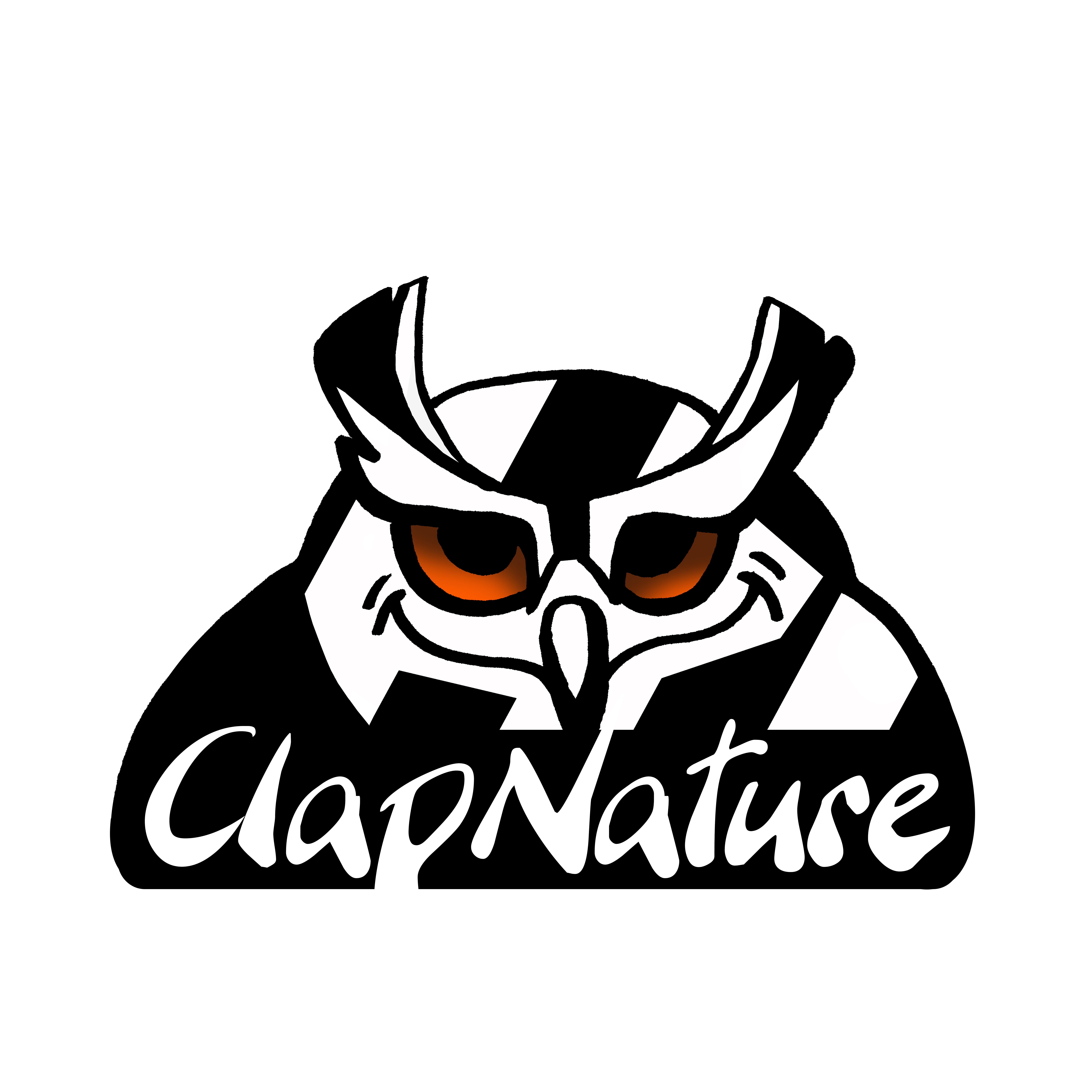 organizer-logo
