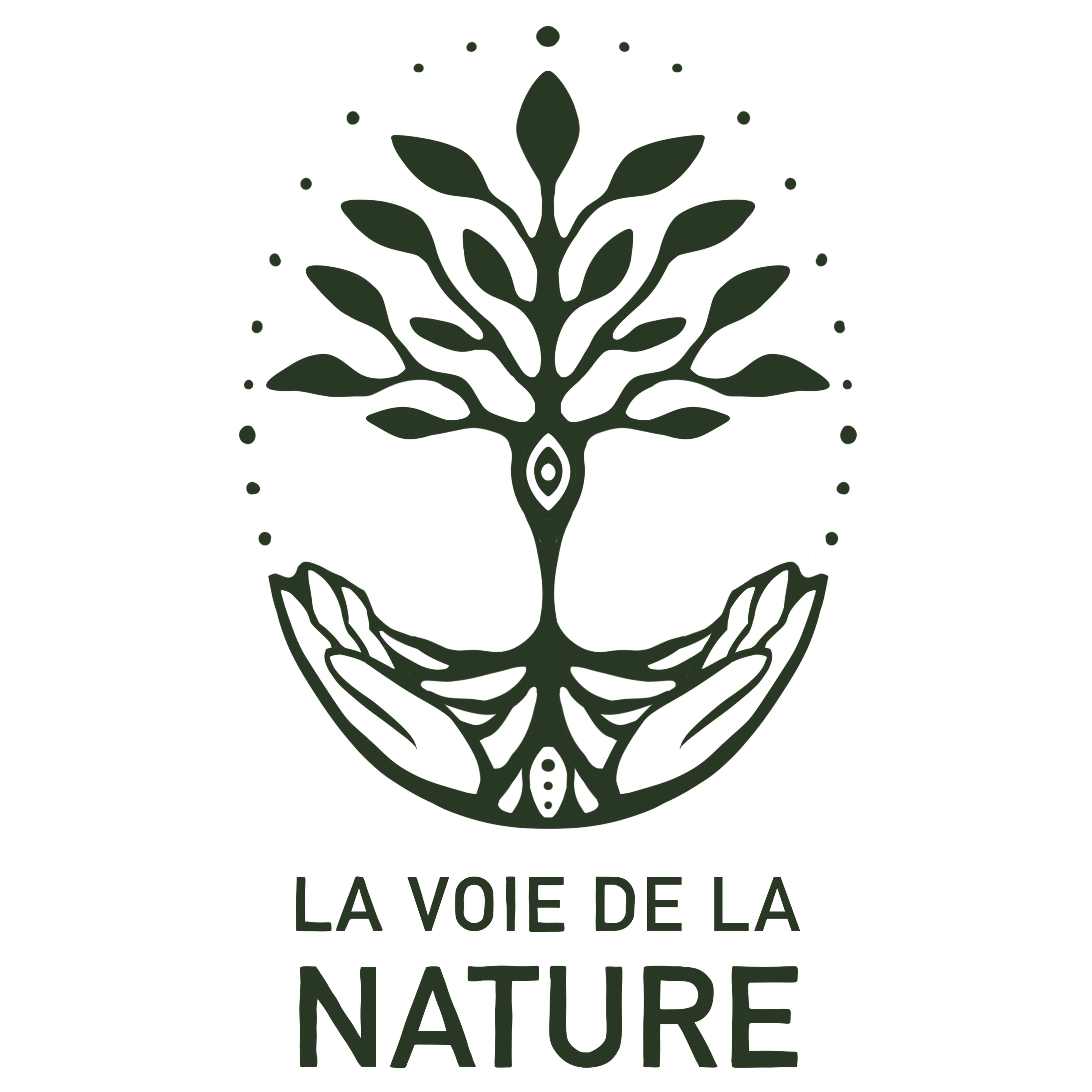 organizer-logo