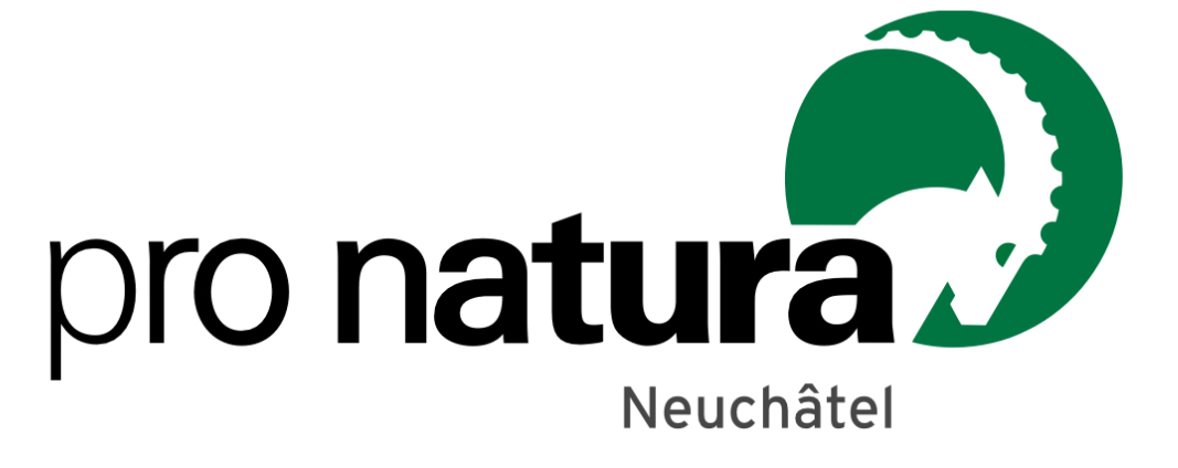 organizer-logo