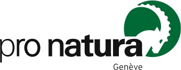 organizer-logo
