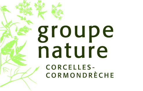 organizer-logo