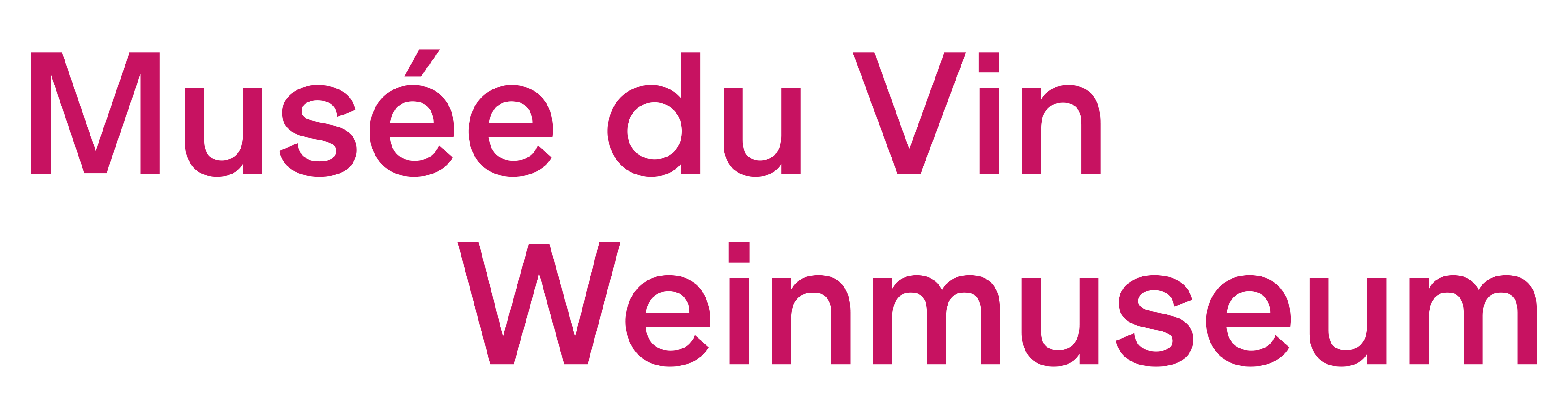 organizer-logo