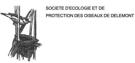 organizer-logo