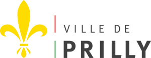 organizer-logo