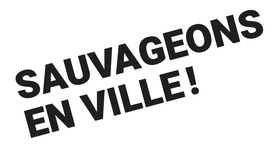 organizer-logo