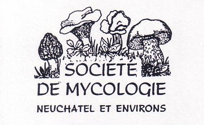 organizer-logo