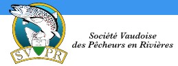 organizer-logo