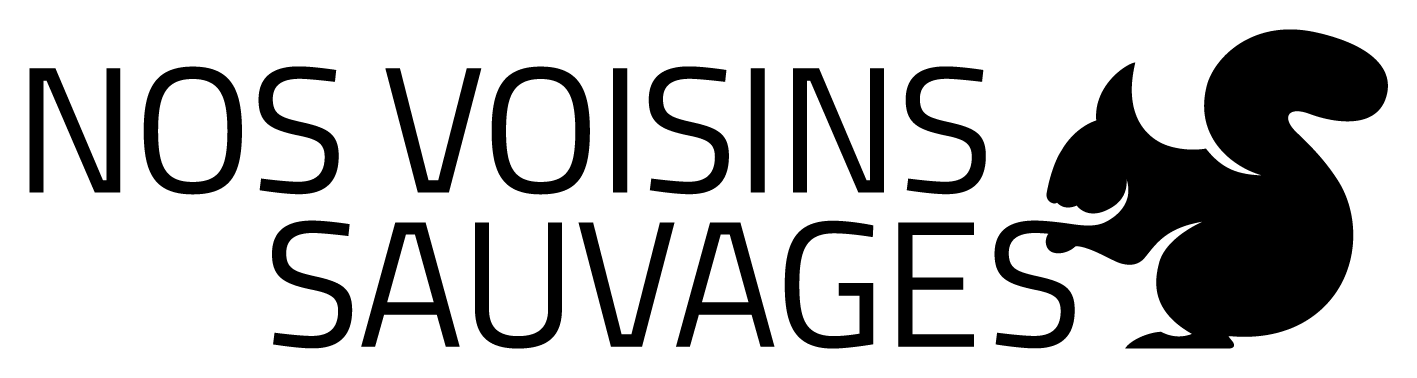 organizer-logo