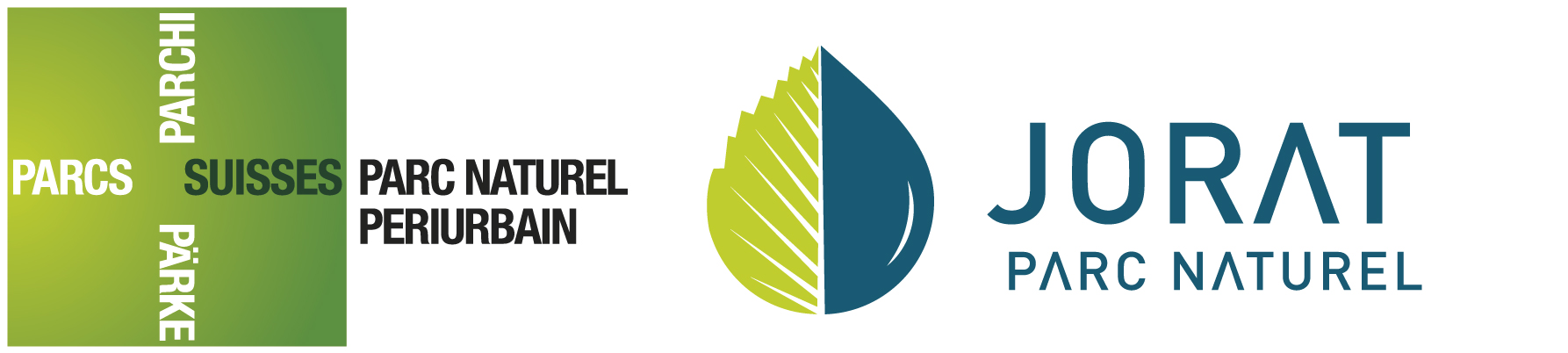 organizer-logo