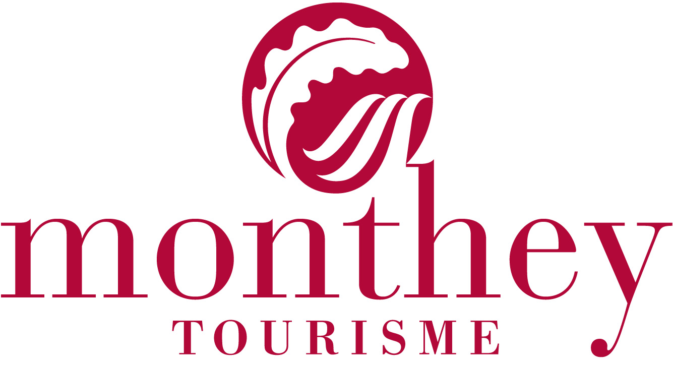 organizer-logo