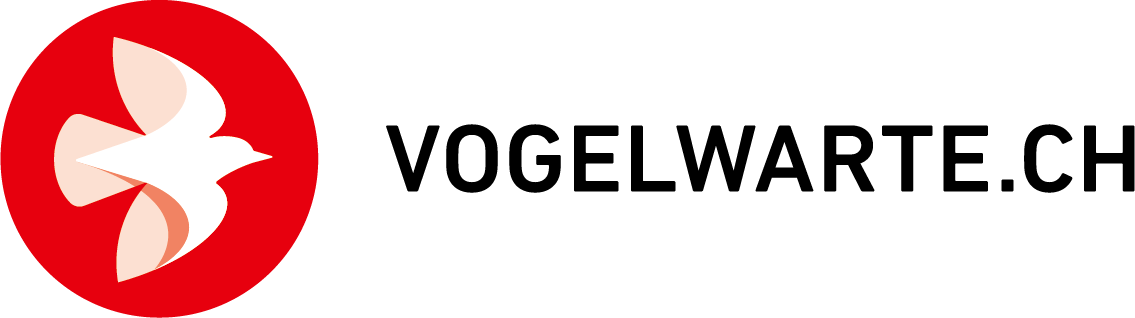 organizer-logo