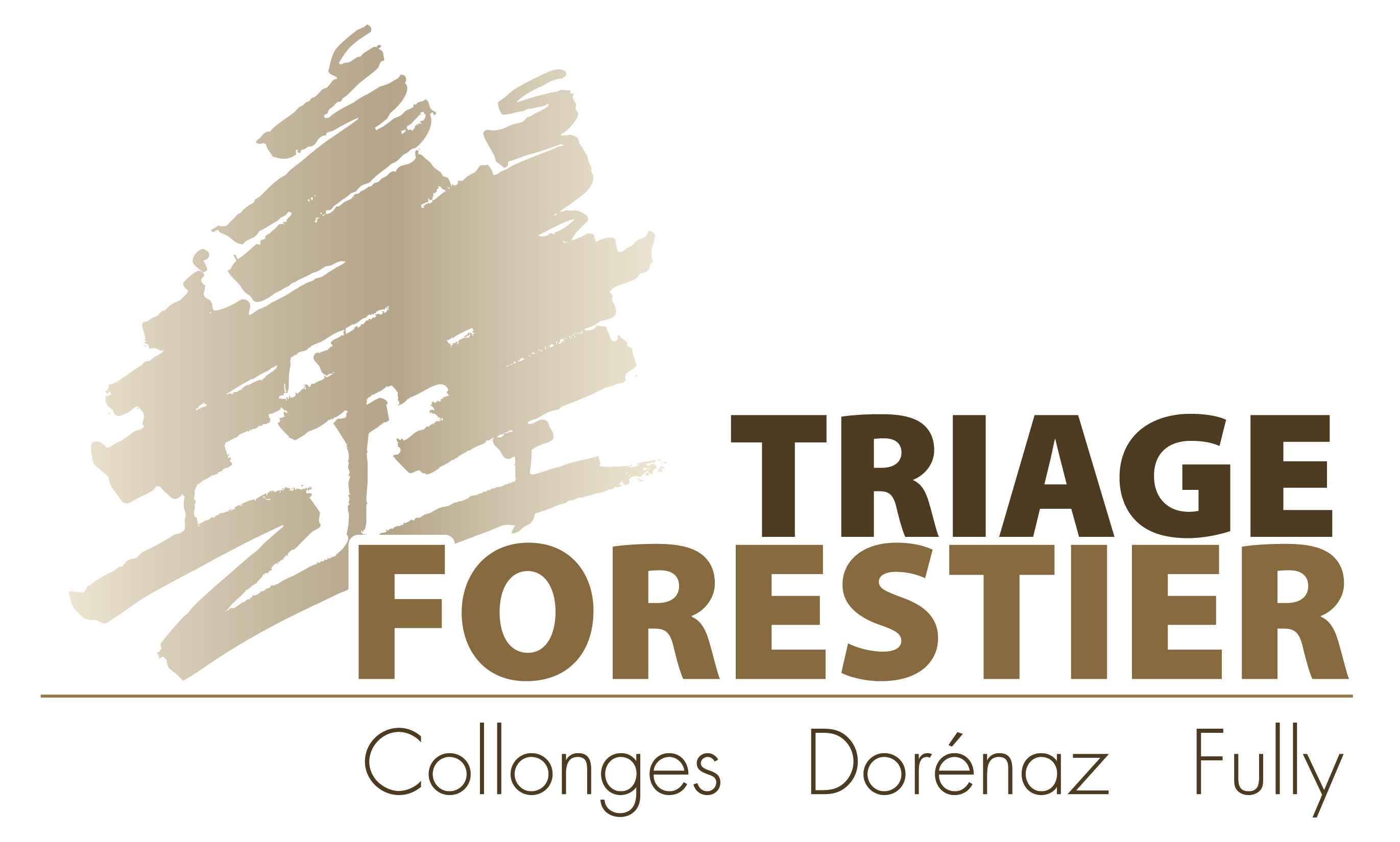 organizer-logo
