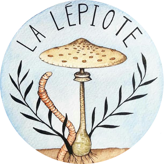 organizer-logo