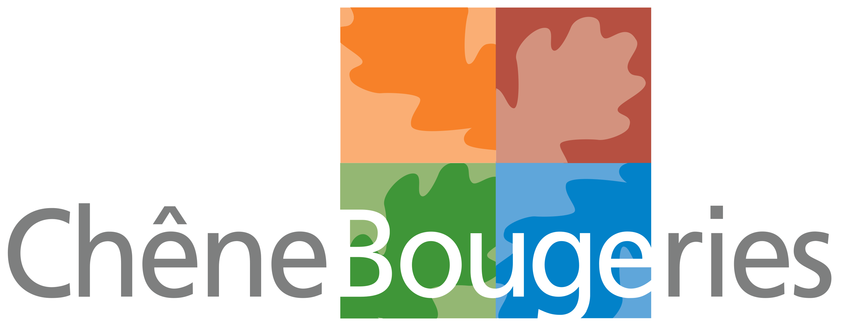 organizer-logo