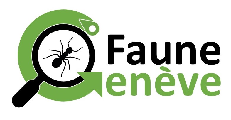 organizer-logo