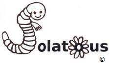 organizer-logo