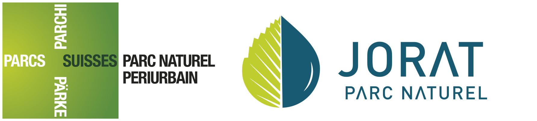 organizer-logo