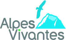 organizer-logo