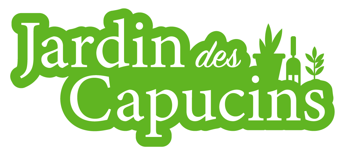 organizer-logo