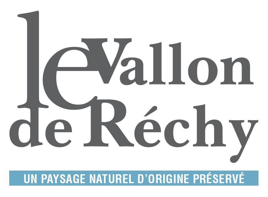 organizer-logo