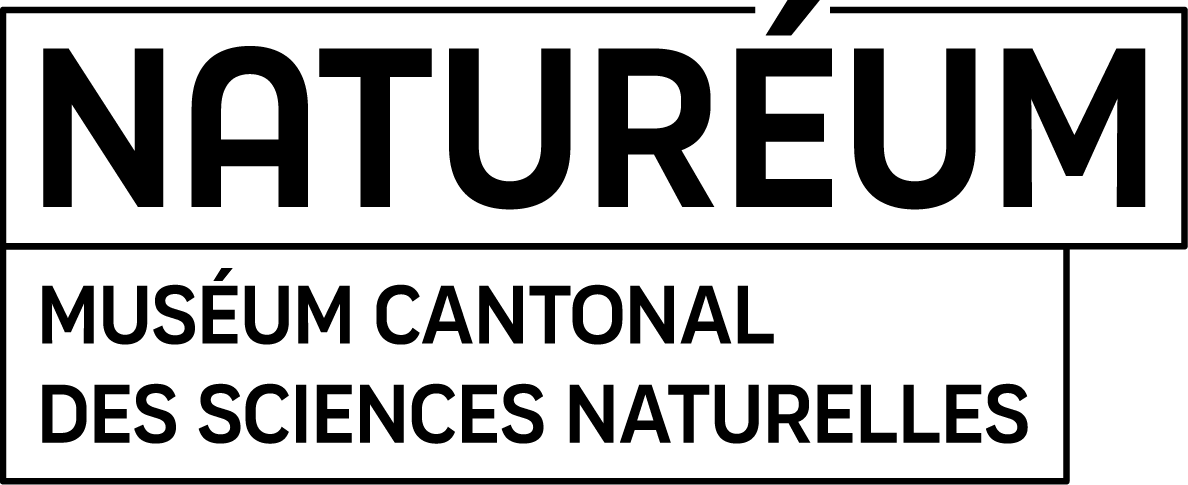 organizer-logo