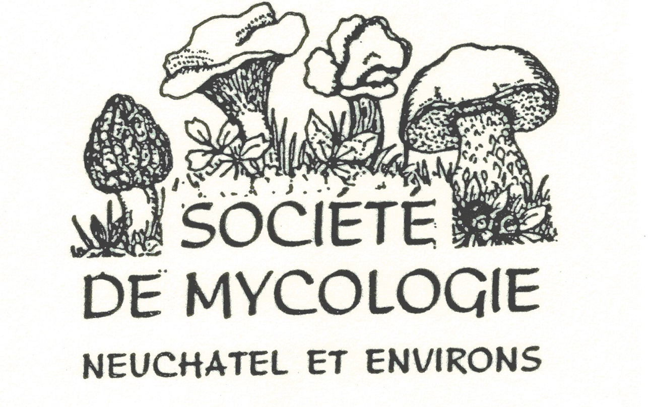 organizer-logo