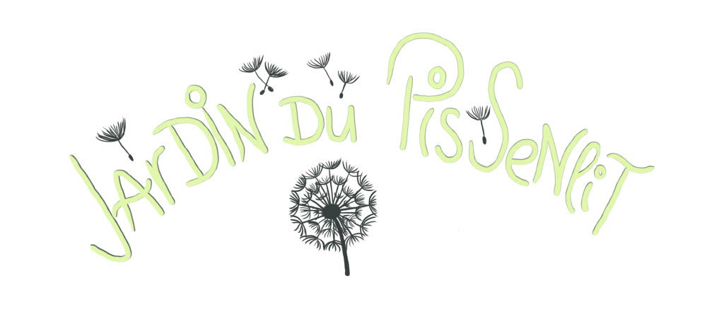 organizer-logo
