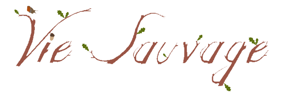 organizer-logo