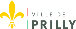 organizer-logo