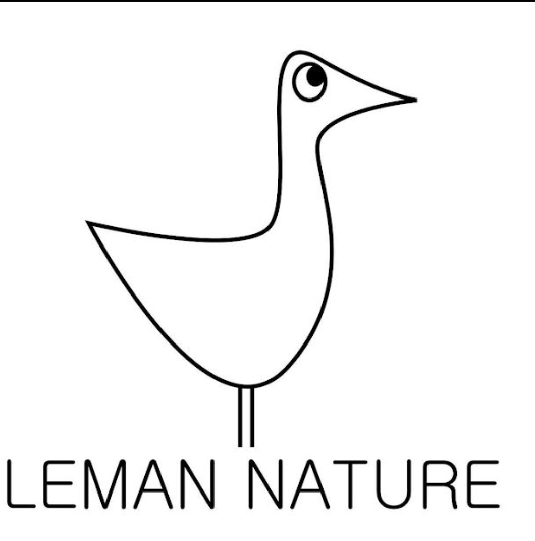 organizer-logo
