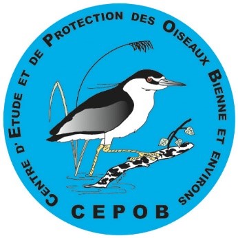 organizer-logo