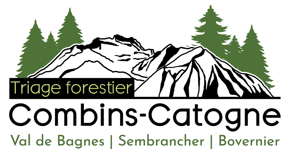organizer-logo