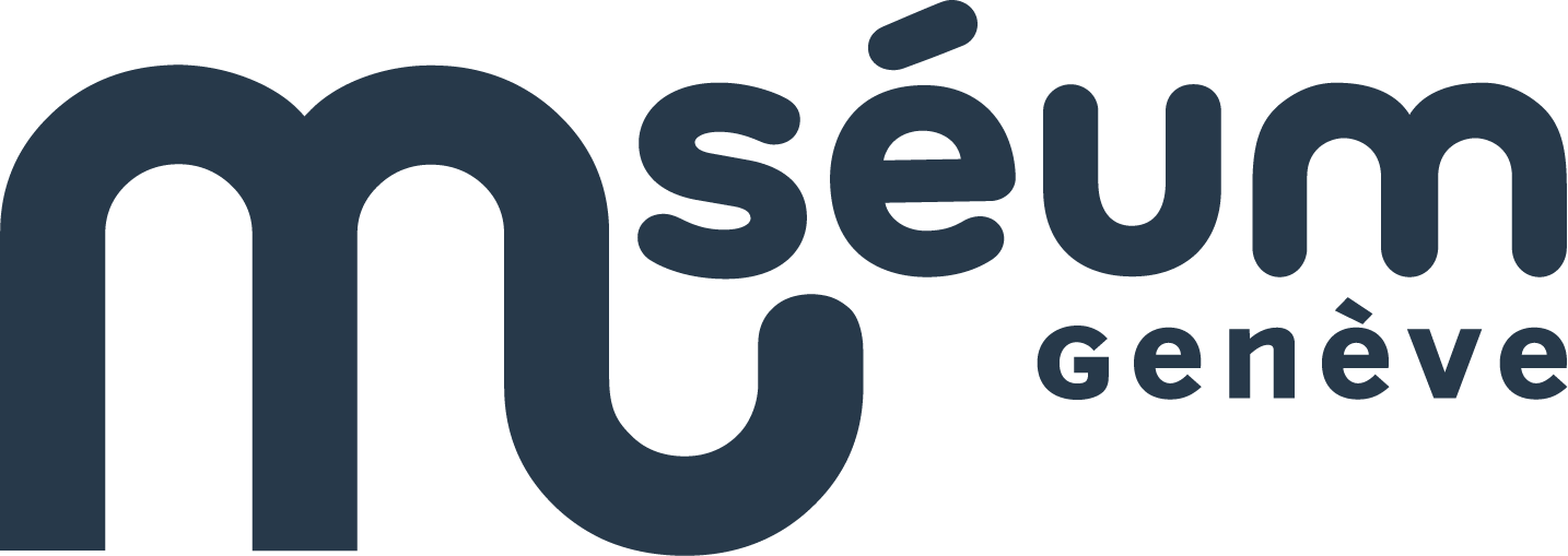 organizer-logo