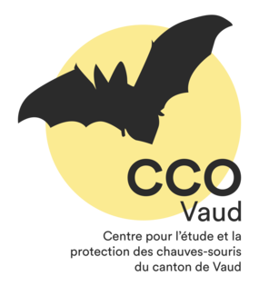 organizer-logo