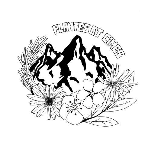 organizer-logo